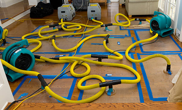 Professional Sewage Cleanup technician working in Milford, NE